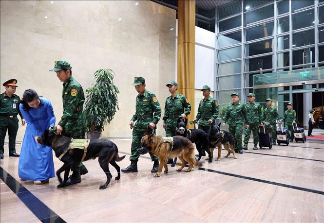 Members of the Vietnamese army’s rescue and relief force return home. VNA Photo: An Đăng