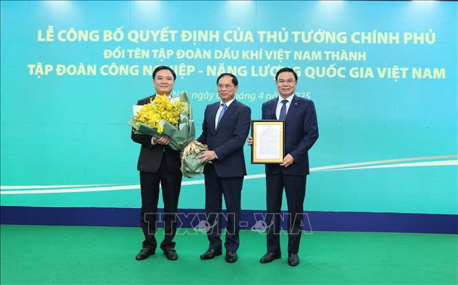 Phó Thủ tướng Bùi Thanh Sơn trao Quyết định của Thủ tướng Chính phủ và chúc mừng Tập đoàn Công nghiệp - Năng lượng quốc gia Việt Nam. Ảnh: Quốc Khánh - TTXVN