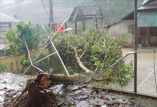 Cây xanh, bờ rào sắt bị gãy đổ, nhà dân bị tốc mái do ảnh hưởng của dông lốc, mưa đá. Ảnh: TTXVN phát 