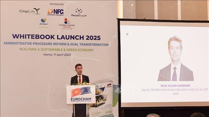 Ngài Julien Guerrier Đại sứ, Trưởng Phái đoàn Liên minh châu Âu tại Việt Nam phát biểu. Ảnh: Trần Việt - TTXVN 
