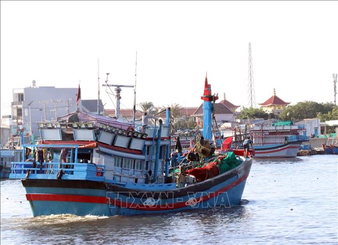 Khai thác đánh bắt thủy sản là lĩnh vực trọng tâm trong chiến lược phát triển kinh tế biển của tỉnh Ninh Thuận. Ảnh: Công Thử - TTXVN