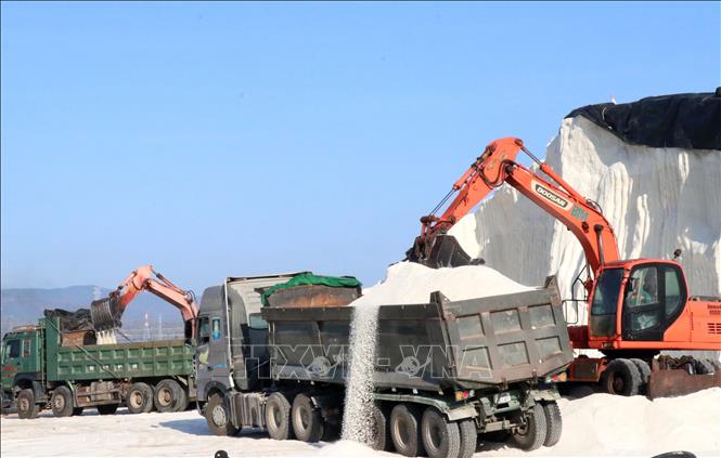 Phát triển mạnh lĩnh vực sản xuất muối công nghiệp tại vùng kinh tế trọng điểm phía Nam, huyện Thuận Nam. Ảnh: Công Thử - TTXVN