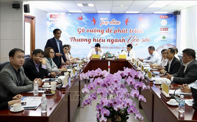 Quang cảnh toạ đàm. Ảnh: Xuân Anh -TTXVN