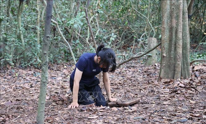 Hầm bí mật trong địa đạo chỉ có một miệng lên xuống vừa lọt vai người và có lỗ thông hơi để thở. Ảnh: Thu Hương - TTXVN