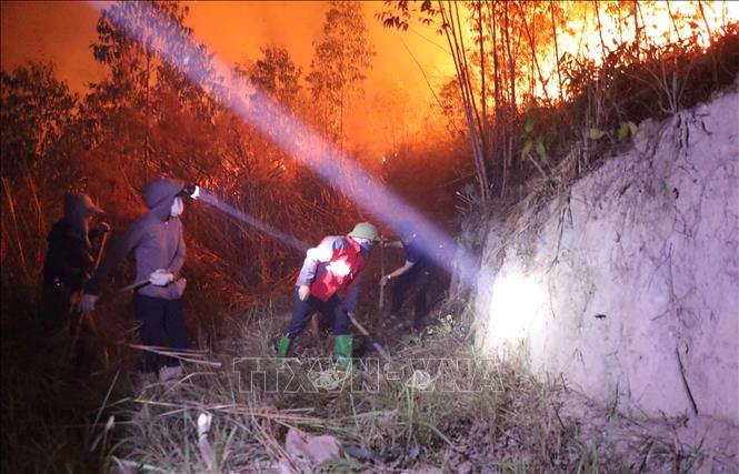 Lực lượng chữa cháy tích cực tạo các hào chữa cháy, ngăn lửa lan sang khu vực khác. Ảnh: Hoàng Hùng - TTXVN