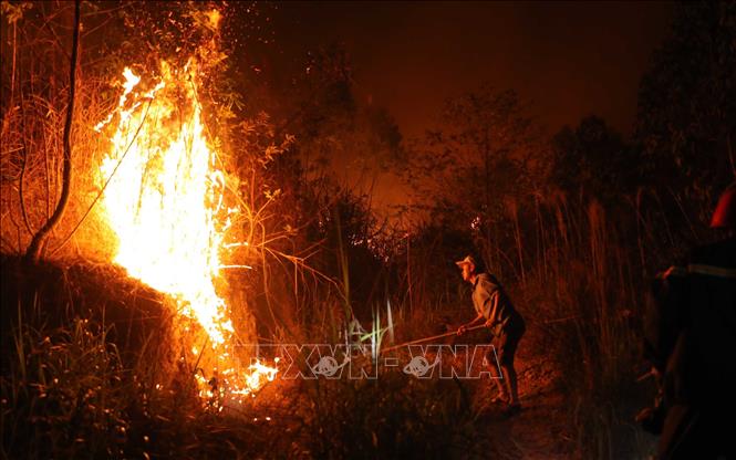 Lực lượng chữa cháy tích cực tạo các hào chữa cháy, ngăn lửa lan sang khu vực khác. Ảnh: Hoàng Hùng - TTXVN