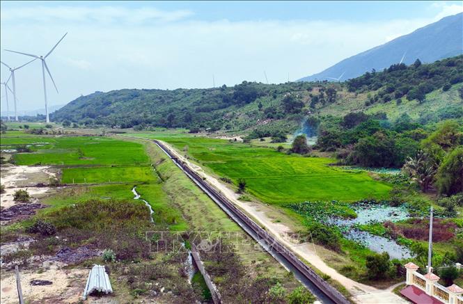 Hệ thống kênh mương được đầu tư, đưa nước từ hồ Sông Trâu về tưới cho các vùng hạ du của huyện Thuận Bắc. Ảnh: Công Thử - TTXVN