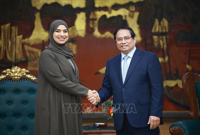 Prime Minister Pham Minh Chinh and Minister of Climate Change and Environment of the United Arab Emirates (UAE) Mariam Bint Mohammed Saeed Hareb Almheiri. VNA Photo: Dương Giang 