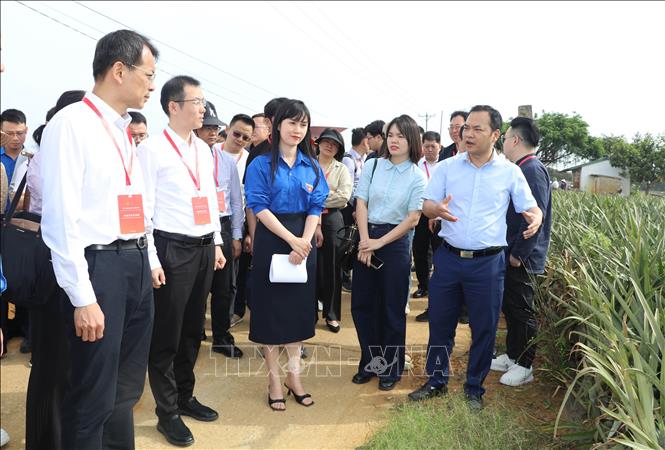 Đoàn tham quan và tìm hiểu về hoạt động sản xuất, kinh doanh tại Công ty cổ phần Thực phẩm xuất khẩu Đồng Giao, thành phố Tam Điệp, tỉnh Ninh Bình. Ảnh: Thùy Dung - TTXVN