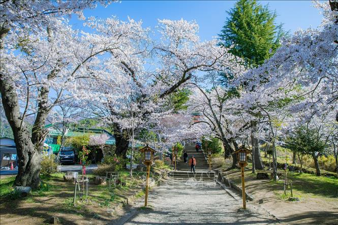 Shaxsiy yalangoch fotosuratlar