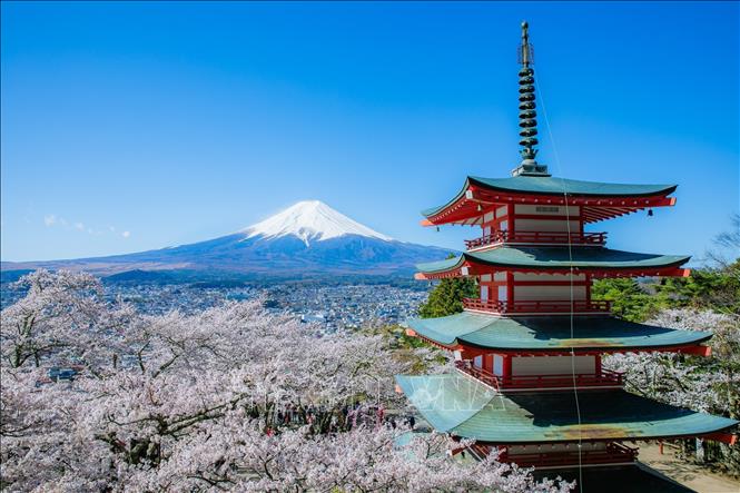 Bir qiz bilan birinchi marta porno