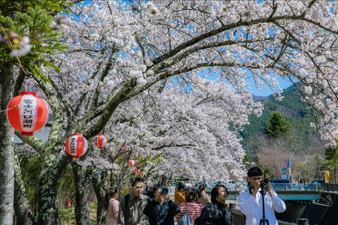 Yuliya Parshuta yalangoch porno