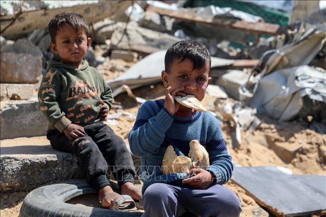 Trẻ em Palestine tại trại tị nạn ở Gaza. Ảnh: THX/TTXVN
