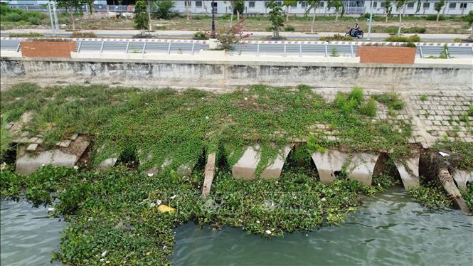 Một đoạn kè Thường Thới Tiền (huyện Hồng Ngự) bị sạt lở gây hư hỏng toàn bộ phần chân kè và một phần mái kè. Ảnh: Nhựt An - TTXVN