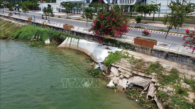 Một đoạn kè Thường Thới Tiền bị sụp lún, sạt lở “ăn sâu” vào chân kè. Ảnh: Nhựt An - TTXVN
