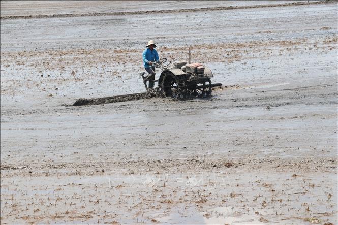 Máy trục đất phục vụ xuống giống cho vụ lúa Hè Thu 2025 tại xã Tân Phú, huyện Thanh Bình (Đồng Tháp). Ảnh: Nguyễn Văn Trí - TTXVN