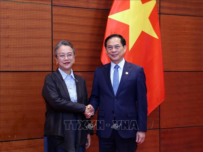 Phó Thủ tướng, Bộ trưởng Ngoại giao Bùi Thanh Sơn tiếp Thư ký Điều hành Ủy ban Kinh tế và Xã hội khu vực châu Á – Thái Bình Dương của Liên hợp quốc. Ảnh: An Đăng - TTXVN