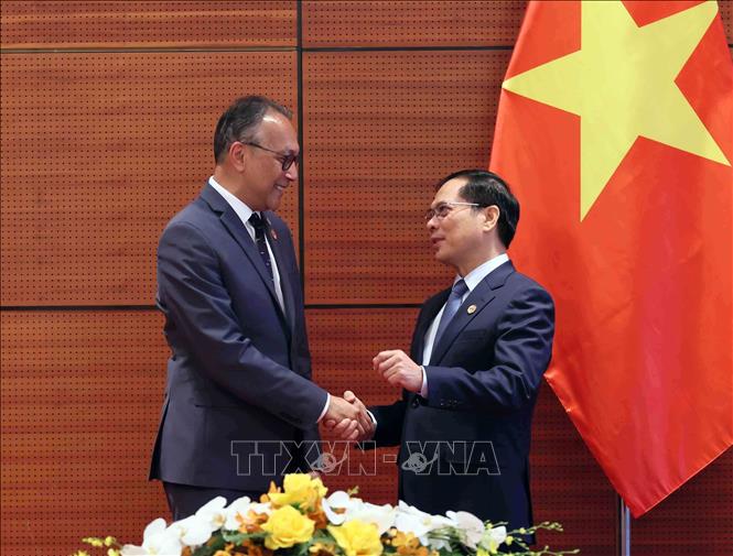 Deputy PM and FM Bui Thanh Son receives President and CEO of World Resources Institute (WRI) Ani Dasgupta. VNA Photo: An Đăng 