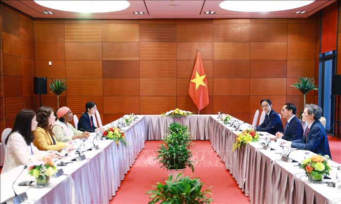Deputy PM and FM Bui Thanh Son receives Deputy Director-General of the United Nations Industrial Development Organization (UNIDO) Fatou Haidara. VNA Photo: Dương Giang