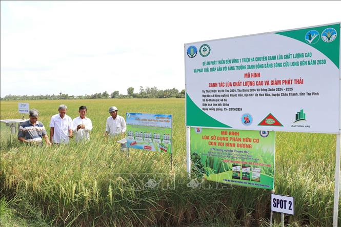 Nông dân tham quan mô hình sản xuất lúa của Hợp tác xã Nông nghiệp Phước Hảo, huyện Châu Thành, tỉnh Trà Vinh. Ảnh: Thanh Hòa - TTXVN