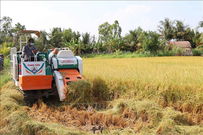 Hợp tác xã Nông nghiệp Phước Hảo, huyện Châu Thành, tỉnh Trà Vinh, xử lý rơm rạ sau thu hoạch bằng máy cuộn rơm. Ảnh: Thanh Hòa - TTXVN