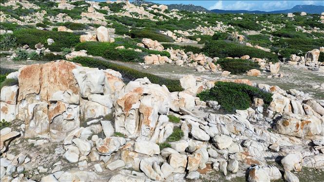 Công viên đá có hệ sinh thái rừng khô hạn, núi đá ven biển điển hình của Vườn quốc gia Núi Chúa (Ninh Thuận). Ảnh: Nguyễn Thành – TTXVN