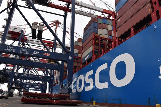 Tàu container thuộc công ty vận tải COSCO của Trung Quốc neo tại cảng Long Beach, bang California, Mỹ. Ảnh: THX/TTXVN