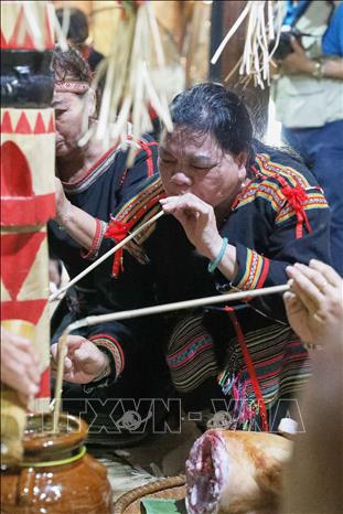 Nghi thức “Mnăm Ring” (uống rượu nối tay) của đồng bào Ê Đê, theo đó những người uống rượu cần sẽ uống nối tiếp nhau liên tục. Ảnh: Lê Đông - TTXVN