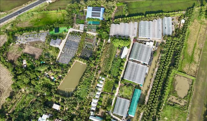 Toàn cảnh không gian xanh mát của điểm du lịch OCOP 3 sao Nông trại Phan Nam nổi bật với những luống rau sạch và khu nhà kính trồng nhiều loại nông sản. Ảnh: Thanh Sang- TTXVN
