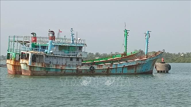 Tỉnh Quảng Nam hiện có 2.562 chiếc tàu cá đã đăng ký, trong đó có 586 chiếc tàu cá có chiều dài từ 15m trở lên được cài đặt phần mềm eCDT. Ảnh: Đoàn Hữu Trung - TTXVN