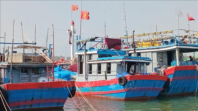 Tất cả tàu từ 15m trở lên phải được cài đặt phần mềm eCDT khi rời cảng và cập cảng tiêu thụ sản phẩm. Ảnh: Đoàn Hữu Trung - TTXVN