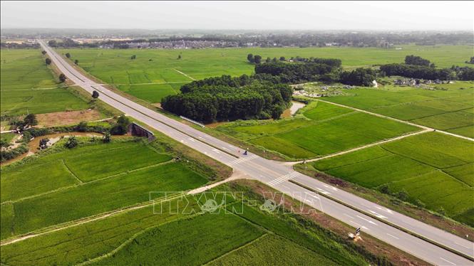 Hải Lăng là huyện sản xuất lúa chủ lực của tỉnh Quảng Trị, với diện tích lúa chất lượng cao hiện nay đạt hơn 9.520 ha; diện tích sản xuất cánh đồng lớn hơn 1.690 ha; sản xuất lúa giống tại chỗ khoàng 520 ha. Ảnh: Vũ Sinh – TTXVN