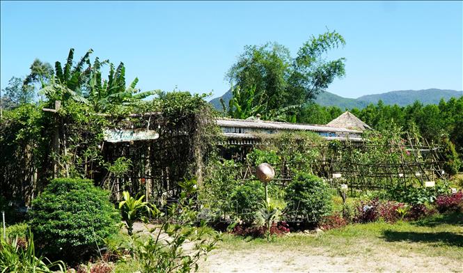 Không gian “sống xanh” tại “Vườn tái chế - NNC” - nơi mọi người có trồng các loại cây ăn quả, rau sạch tùy thích. Ảnh: Lê Phước Ngọc - TTXVN
