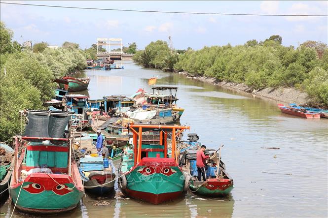 Các thuyền đánh bắt hải sản neo đậu ở bên trong cống Rạch Bùn ở xã Tân Điền (Gò Công Đông, Tiền Giang) tiếp giáp với biển Gò Công. Ảnh: Hữu Chí - TTXVN