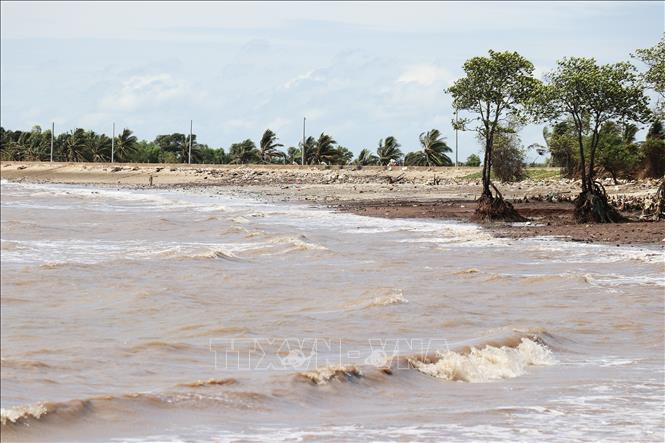 Nét hoang sơ của bãi biển Gò Công (Tiền Giang). Ảnh: Hữu Chí - TTXVN