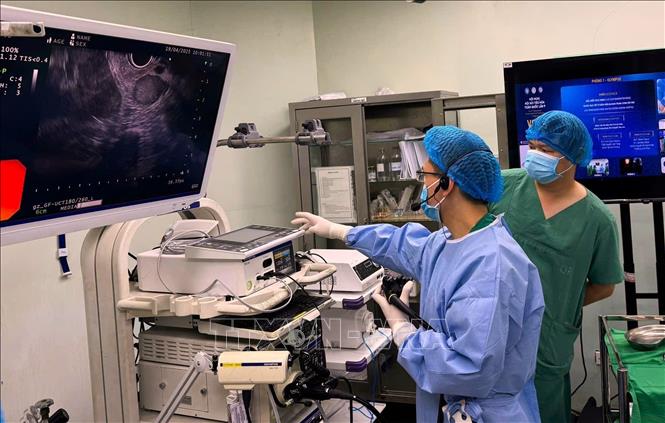 Các chuyên gia đầu ngành trong và ngoài nước chuyển giao kỹ thuật nội soi siêu âm cho các bác sĩ Bệnh viện Đa khoa Trung ương Cần Thơ. Ảnh: TTXVN phát