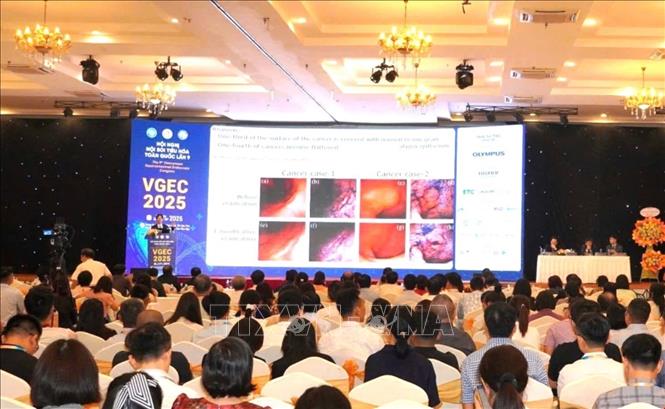 Bệnh viện Đa khoa Trung ương Cần Thơ tổ chức nhiều hội nghị, hội thảo quốc tế về nội soi siêu âm. Ảnh: TTXVN phát