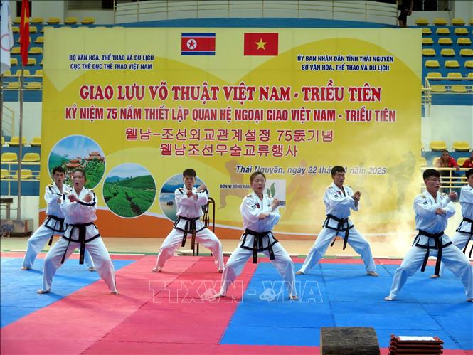 Các vận động viên đến từ Triều Tiên trình diễn võ thuật Taekwondo. Ảnh: Thu Hằng-TTXVN                              