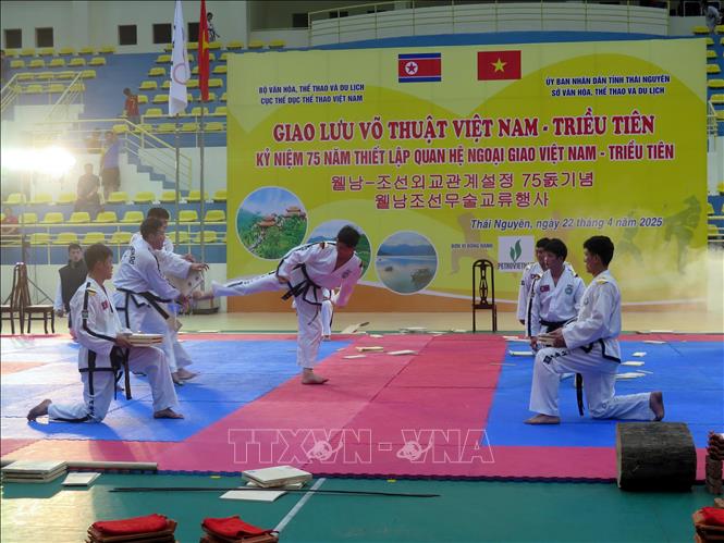 Các vận động viên đến từ Triều Tiên trình diễn võ thuật Taekwondo. Ảnh: Thu Hằng-TTXVN                                 