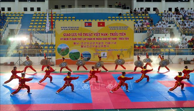 Các vận động viên tỉnh Bình Định trình diễn võ thuật cổ truyền Việt Nam tại chương trình. Ảnh: Thu Hằng-TTXVN                                