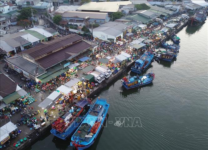 Hoạt động buôn bán hải sản tại Cảng cá Đông Hải (thành phố Phan Rang - Tháp Chàm, Ninh Thuận). Ảnh: Nguyễn Thành - TTXVN