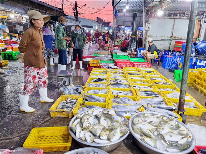 Hải sản được bày bán tại cảng cá Đông Hải (thành phố Phan Rang – Tháp Chàm, Ninh Thuận). Ảnh: Nguyễn Thành – TTXVN