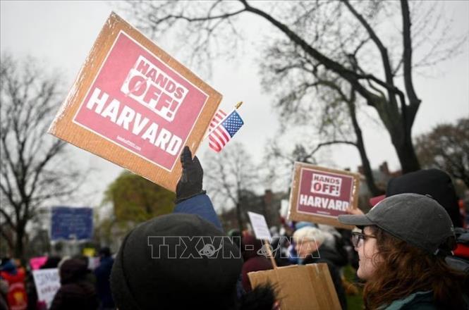 Tuần hành kêu gọi lãnh đạo trường đại học Harvard phản đối sự can thiệp của chính phủ liên bang đối với lĩnh vực giáo dục đại học tại Cambridge, Massachusetts (Mỹ) ngày 12/4/2025. Ảnh: REUTERS/TTXVN