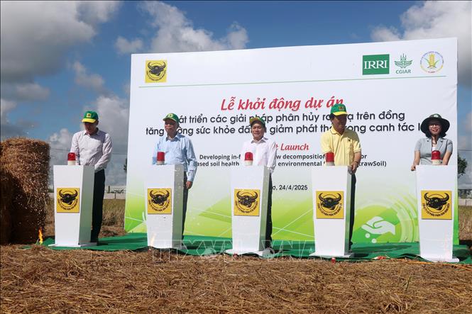 Triển khai dự án phát triển các giải pháp phân hủy rơm rạ giảm phát ...