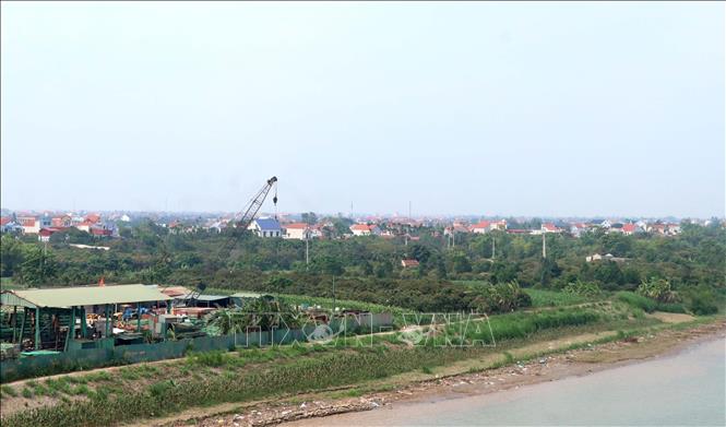 Vùng bãi ven sông Hồng, thuộc xã Tân Hưng, thành phố Hưng Yên. Ảnh: Đinh Văn Nhiều-TTXVN