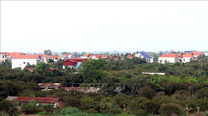 Vùng bãi ven sông Hồng thuộc xã Tân Hưng, thành phố Hưng Yên phát triển với nhiều nhà cao tầng, kiên cố. Ảnh: Đinh Văn Nhiều-TTXVN