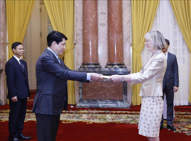 State President Luong Cuong receives Australian Ambassador Gillian Bird. VNA Photo: Lâm Khánh 