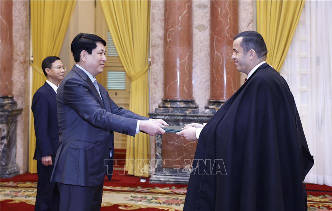 State President Luong Cuong receives Ambassador of Algeria Azeddine Bechka. VNA Photo: Lâm Khánh 