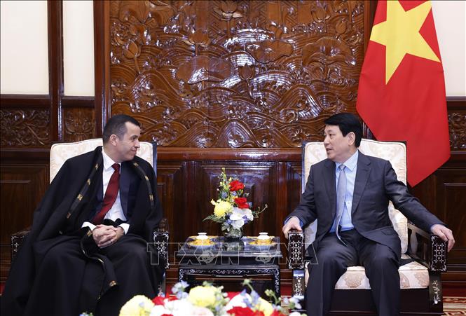 State President Luong Cuong receives Ambassador of Algeria Azeddine Bechka. VNA Photo: Lâm Khánh 