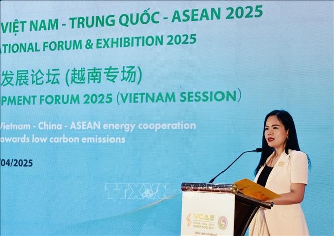 Đại diện Tập đoàn T&T chia sẻ. Ảnh: Trần Việt - TTXVN  